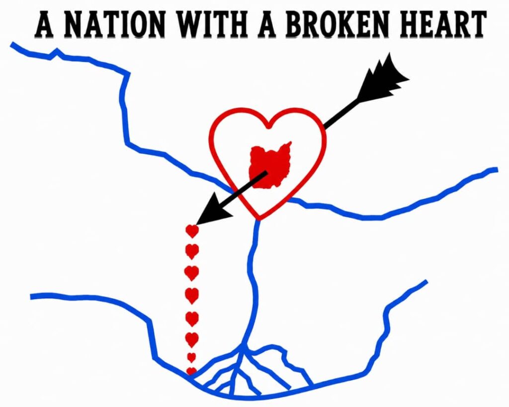 WISDOM:  A Discovery in My Search for Total Health in a Nation with a Broken Heart